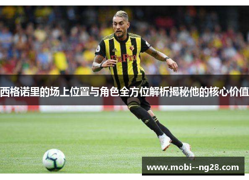 西格诺里的场上位置与角色全方位解析揭秘他的核心价值