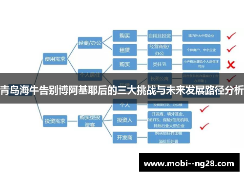 青岛海牛告别博阿基耶后的三大挑战与未来发展路径分析 青岛海牛告别博阿基耶后的三大挑战与未来发展路径分析