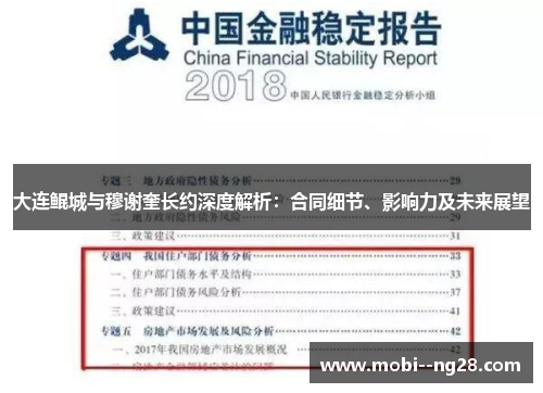 大连鲲城与穆谢奎长约深度解析：合同细节、影响力及未来展望