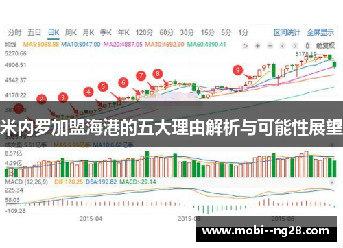 米内罗加盟海港的五大理由解析与可能性展望 米内罗加盟海港的五大理由解析与可能性展望