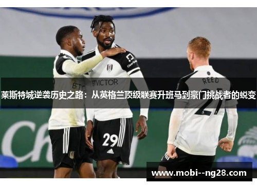 莱斯特城逆袭历史之路：从英格兰顶级联赛升班马到豪门挑战者的蜕变
